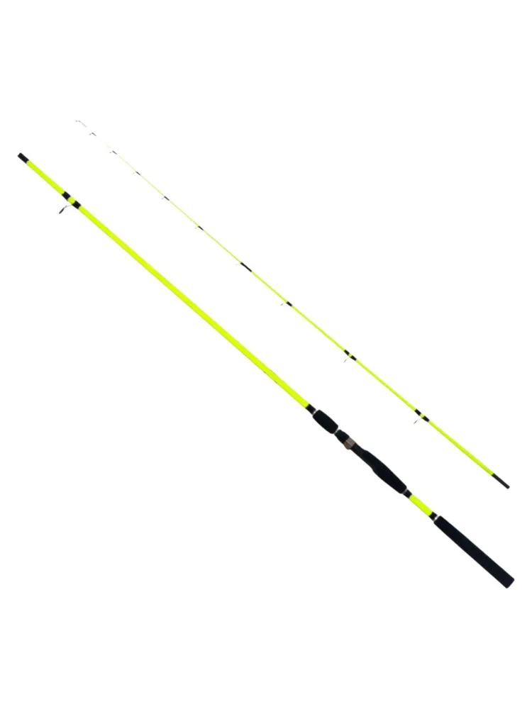 Спиннинг DAYO PREMIER 240 100-200g карповый